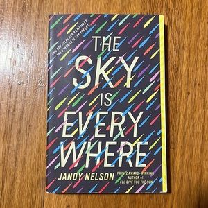 The Sky is Everywhere Book
